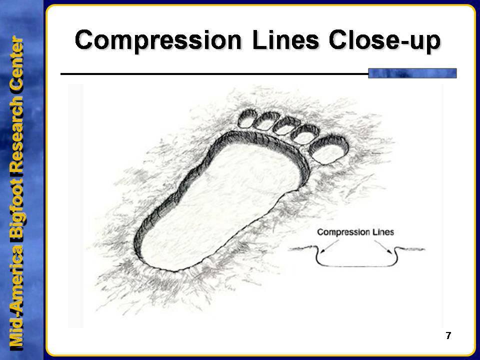 Compression Lines Slide 2