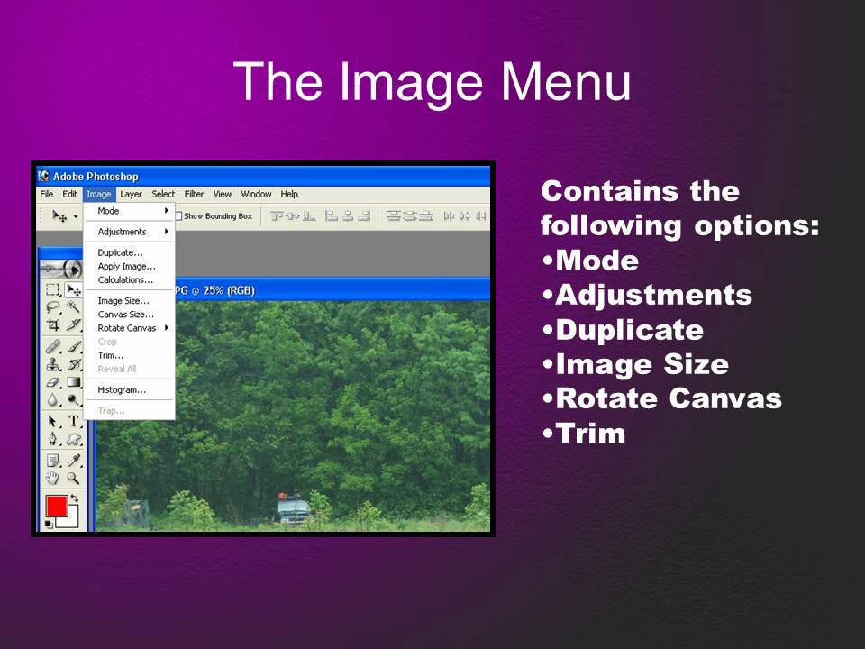 Photo Analysis Slide 4