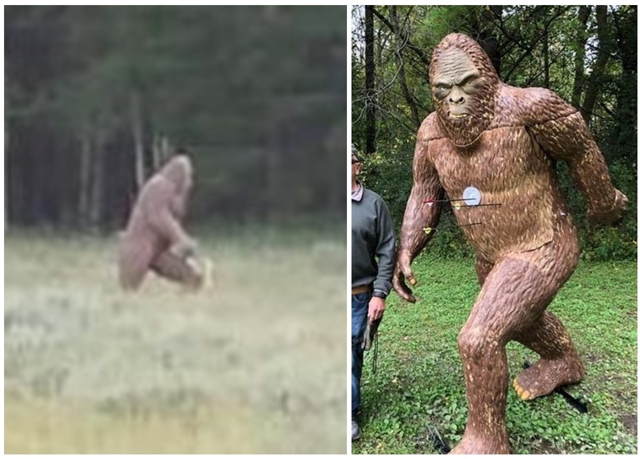 Sasquatch Archery Target