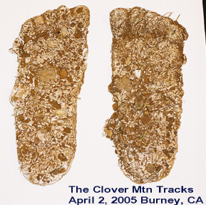 Clover Mountain Tracks