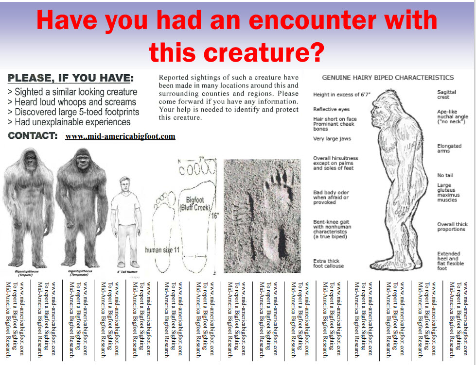 MABRC Bigfoot Sighting Brochure