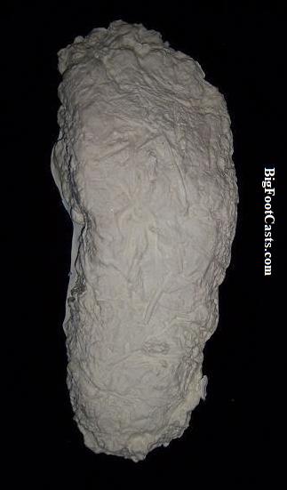 1996 Mill Creek Bigfoot print cast