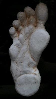 Laurel Highland Mountains Juvenile Bigfoot Cast