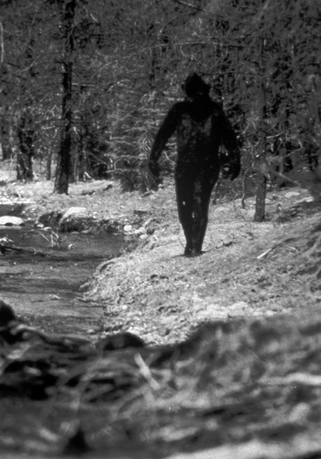 (Infamous) 1977 Fake Bigfoot - The Marx Photo