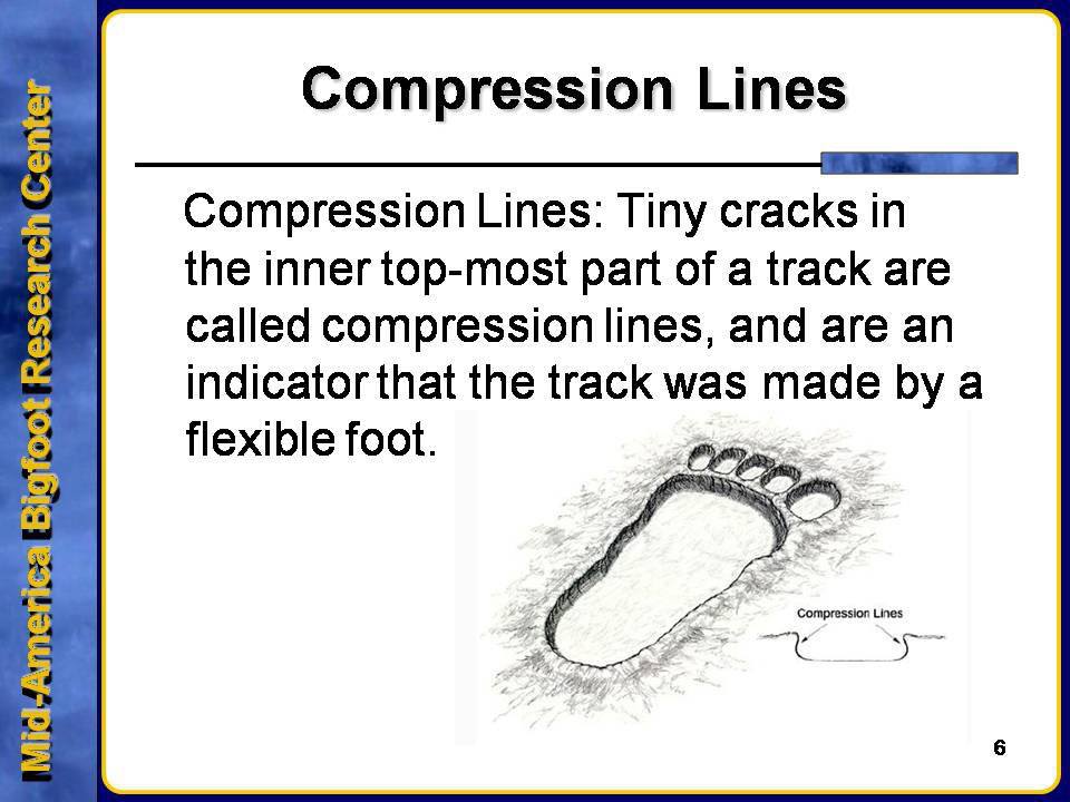 Compression Lines Slide 1