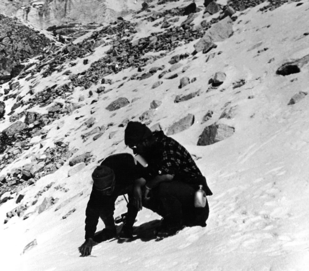 Desmond Doig and Marlin Perkins Examining "Yeti Prints"