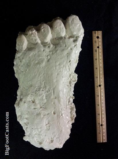 2001 Keuterville, Idaho Bigfoot Cast