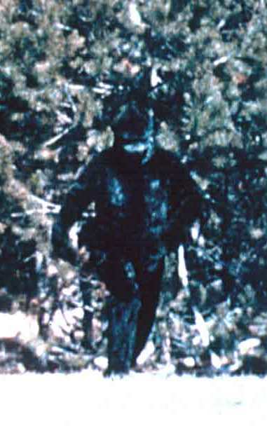 (Infamous) 1977 Fake Bigfoot - The Marx Photo