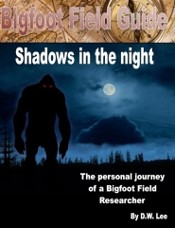 Shadows in the night