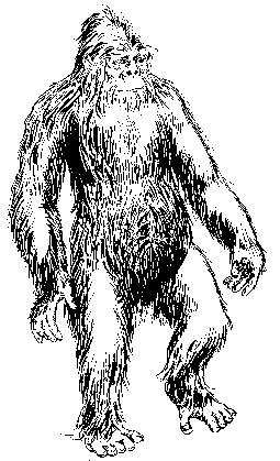 Harry Trumbore’s drawing of a Yeti