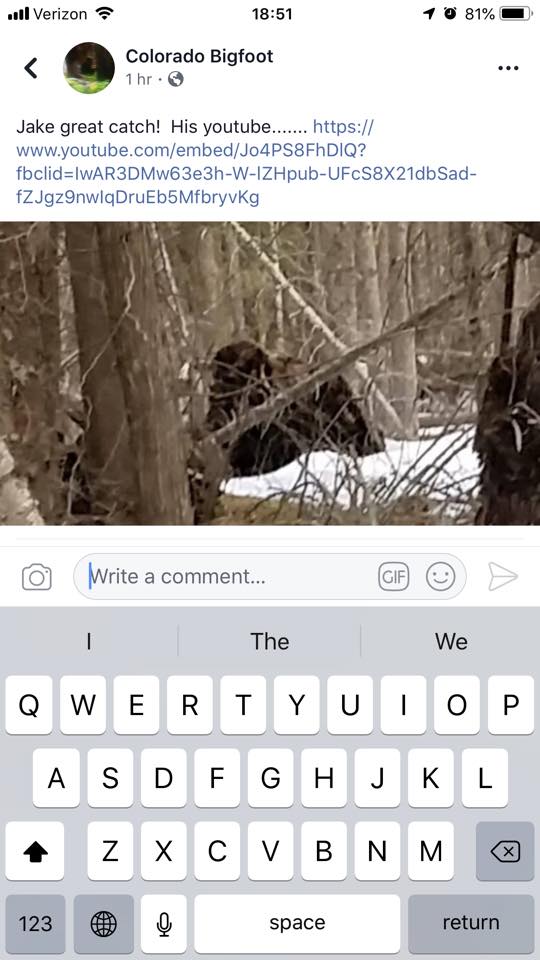 Colorado Bigfoot tree root ball hoax photo