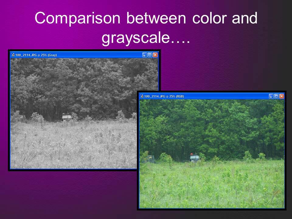 Photo Analysis Slide 11