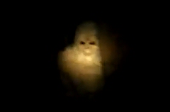 White Bigfoot Screen Capture