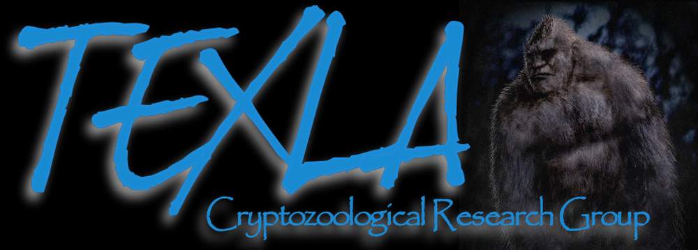 Texla Banner