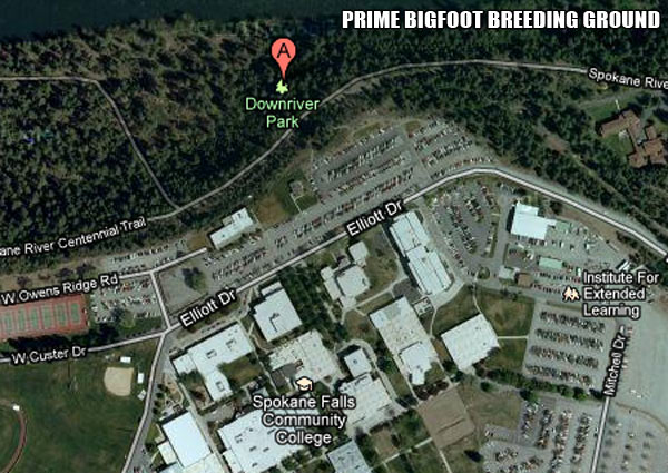 The Spokane Bigfoot Hoax