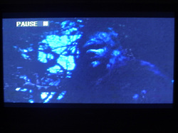 The screen cap of 1976's, "The Legend of Sasquatch."