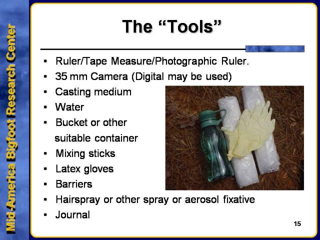 Slide 15