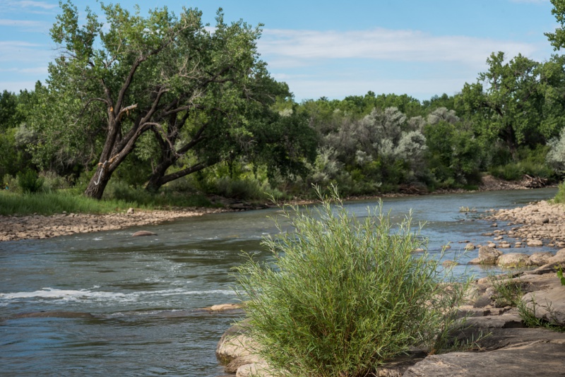File:Animas-River-Berg-Park-Farmington-NM.jpg