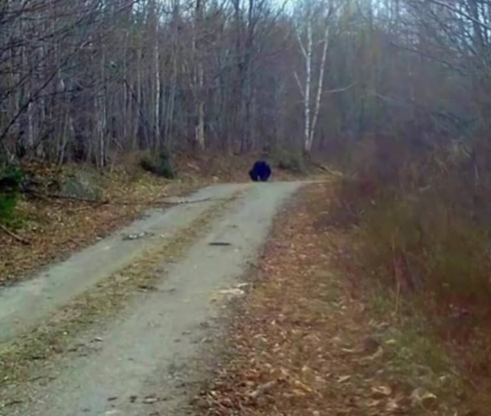 File:502474555 10227220707365386 2043747304142461728 n.jpg