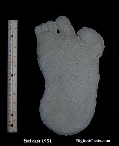 1951 Yeti footprint cast