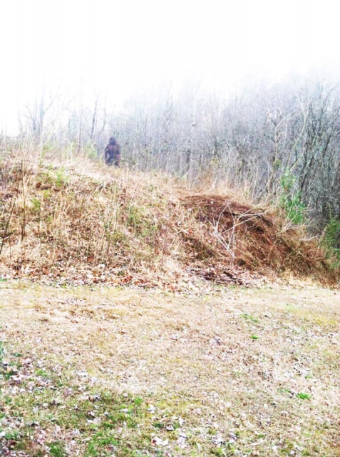 Bigfoot photographed above roadside