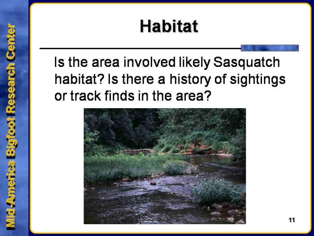 Slide 11