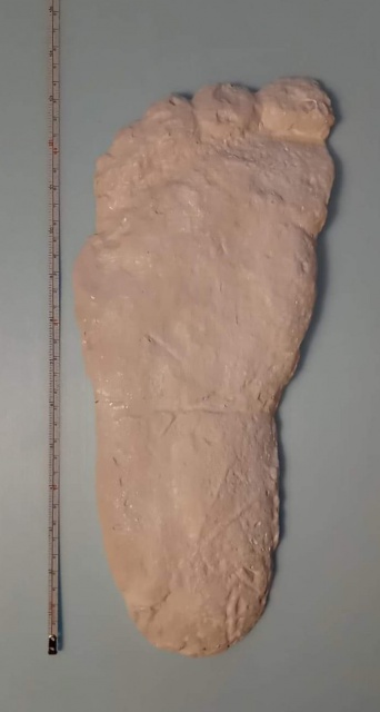 1967 Bigfoot cast Hodgson