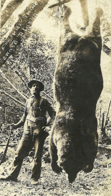 Vintage picture postcard depicting a hunter and shot Alaskan grizzly bear (purchased on ebay and now owned by Dr Karl Shuker – all rights reserved)
