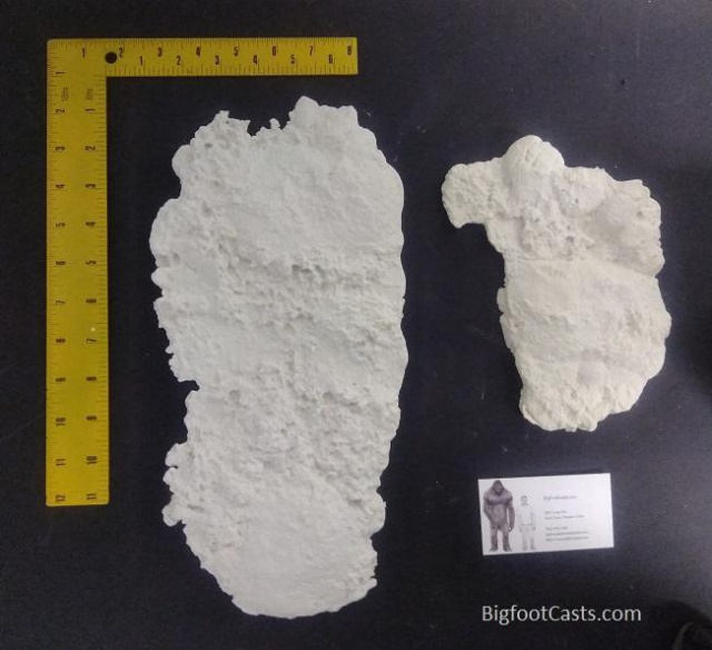 1991 Oil City, PA. Bigfoot Footprint cast