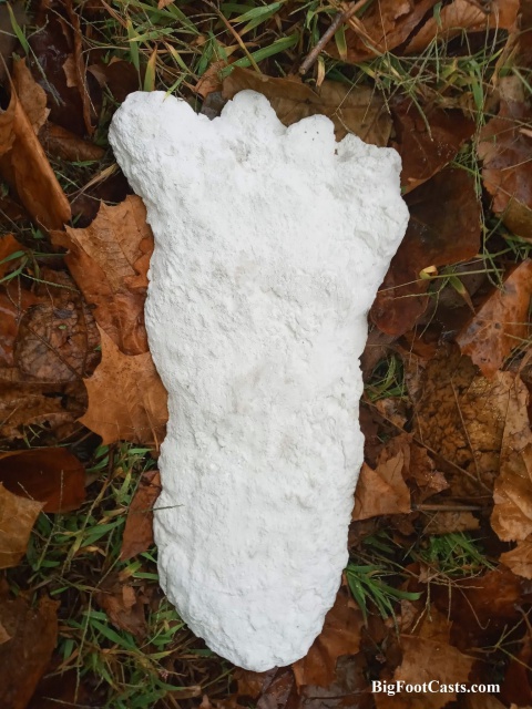 2019 North Carolina Bigfoot print cast