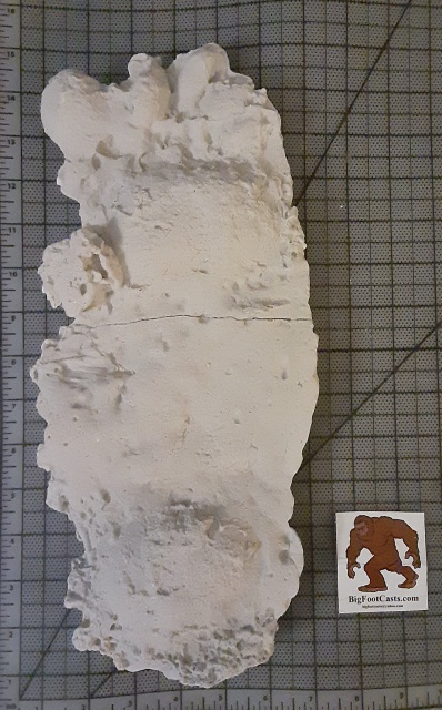 1995 Rawley Springs, Virginia Bigfoot cast