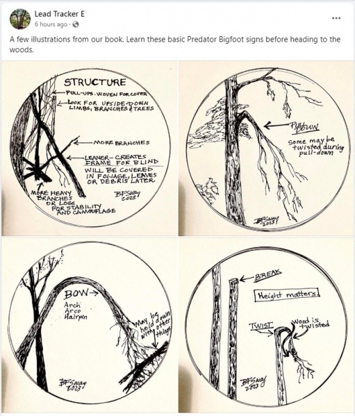 File:2023-07-06 18-06-34.jpg