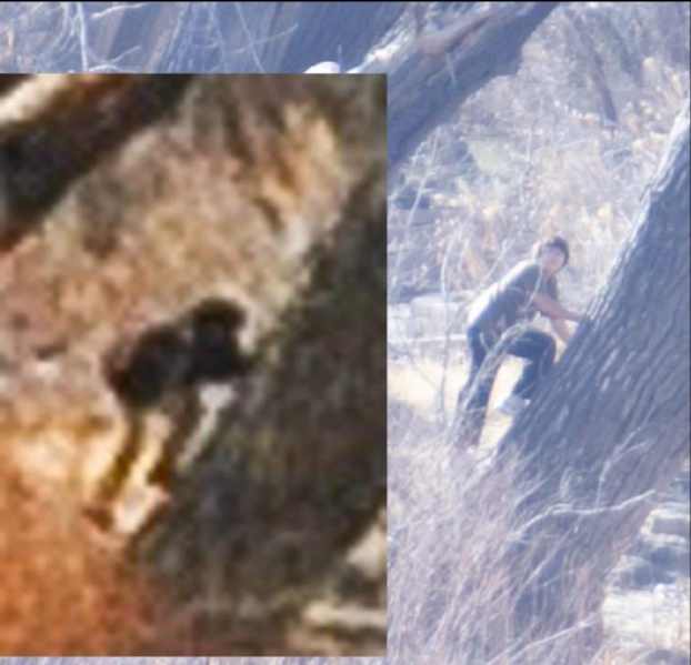 File:381678 10151147194860721 1397499471 n.jpg