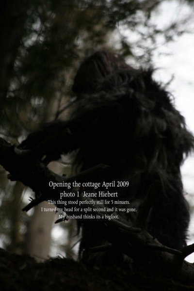 File:499247305 2369192770132951 3789057535085942845 n.jpg