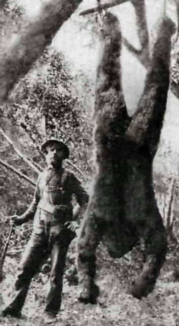 The infamous 'dead bigfoot photo' (origin unknown)