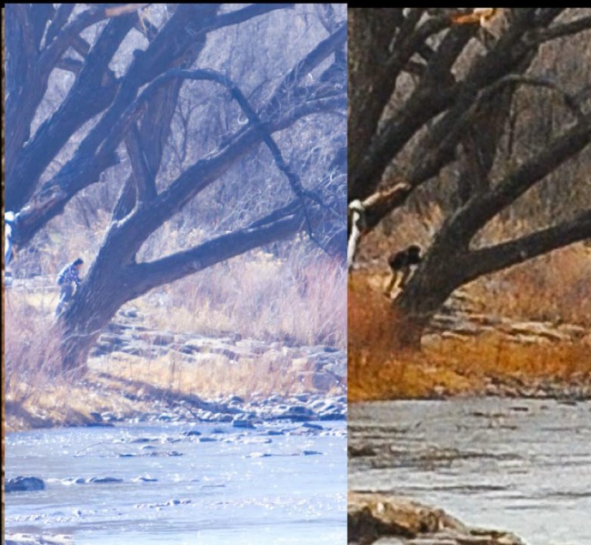 File:376163 10151147194550721 497450546 n.jpg