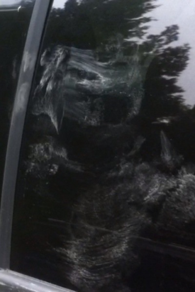 File:284914 245551962140656 1732643 n.jpg