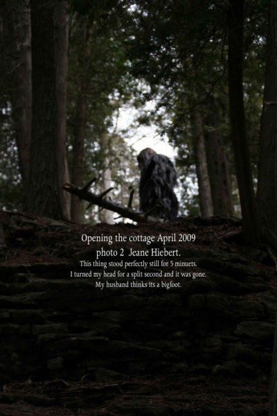 File:499528936 2369192743466287 5956688159136317967 n.jpg