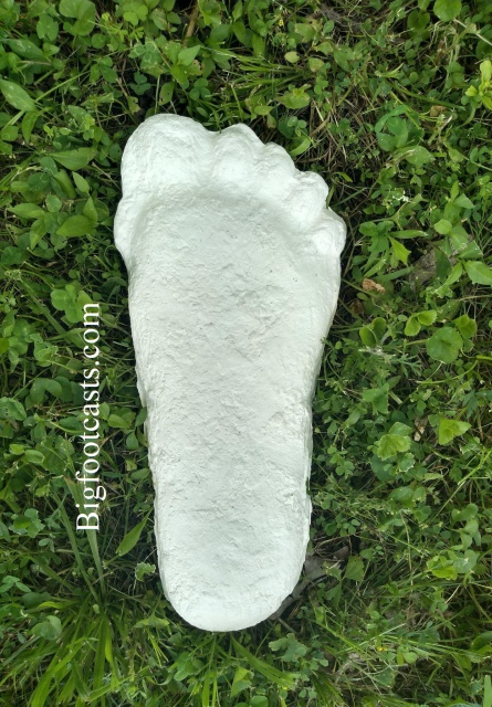 1967 Bigfoot Patterson "Patty" track footprint cast