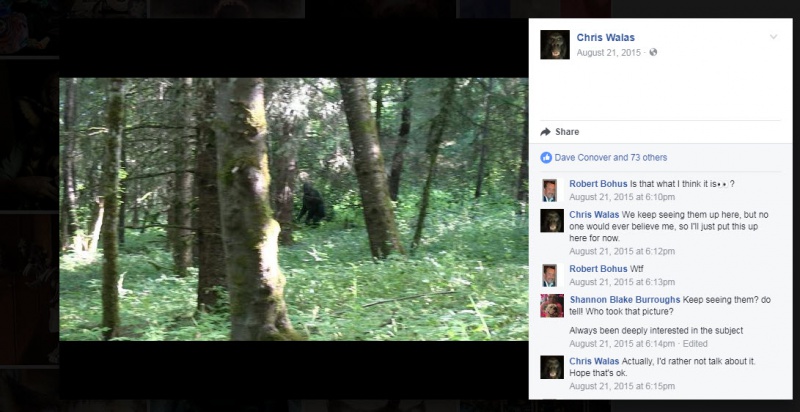 File:2017-08-03 9-18-48.jpg