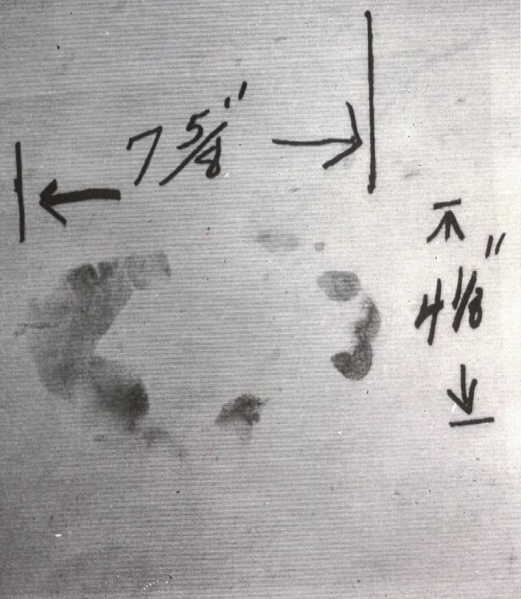 File:491358506 1192360226233484 5128221929229051288 n.jpg