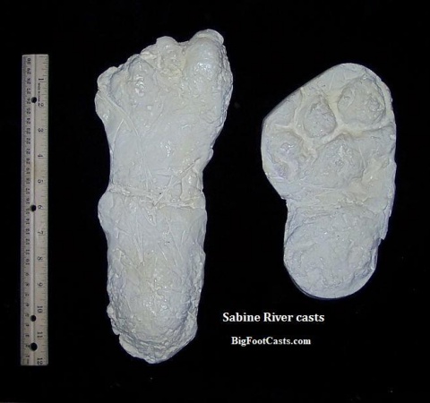2003 Bayou Bigfoot Sabine River, Texas Bigfoot print cast