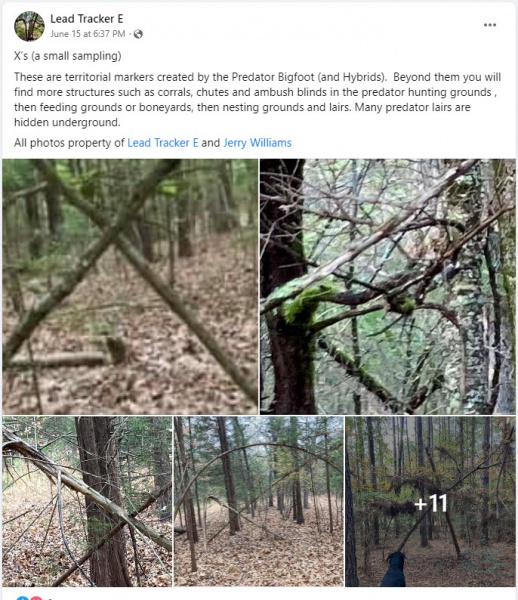 File:2023-07-06 18-00-31.jpg